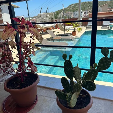 Duplex With Pool And Jacuzzi